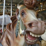 The horses are nameless -- for now. Walentas is leaving the option to sponsor or name horses with donations to the non-profit fund that will run and regulate the carousel.